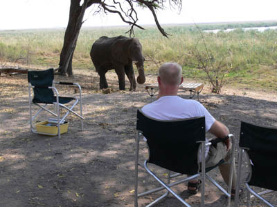 Elefant, Camp, Botswana